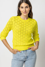 Load image into Gallery viewer, Pointelle Stitch Crewneck Sweater in Lemon Lime
