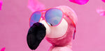 Load image into Gallery viewer, Carl Is My Co-Pilot Sunglasses
