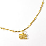 Load image into Gallery viewer, Fortune Initial Necklace in Gold
