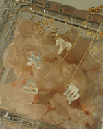 Load image into Gallery viewer, Capricorn Necklace in MOP/Gold