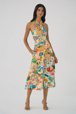 Load image into Gallery viewer, Wally Dress in Picnic Park Conversational
