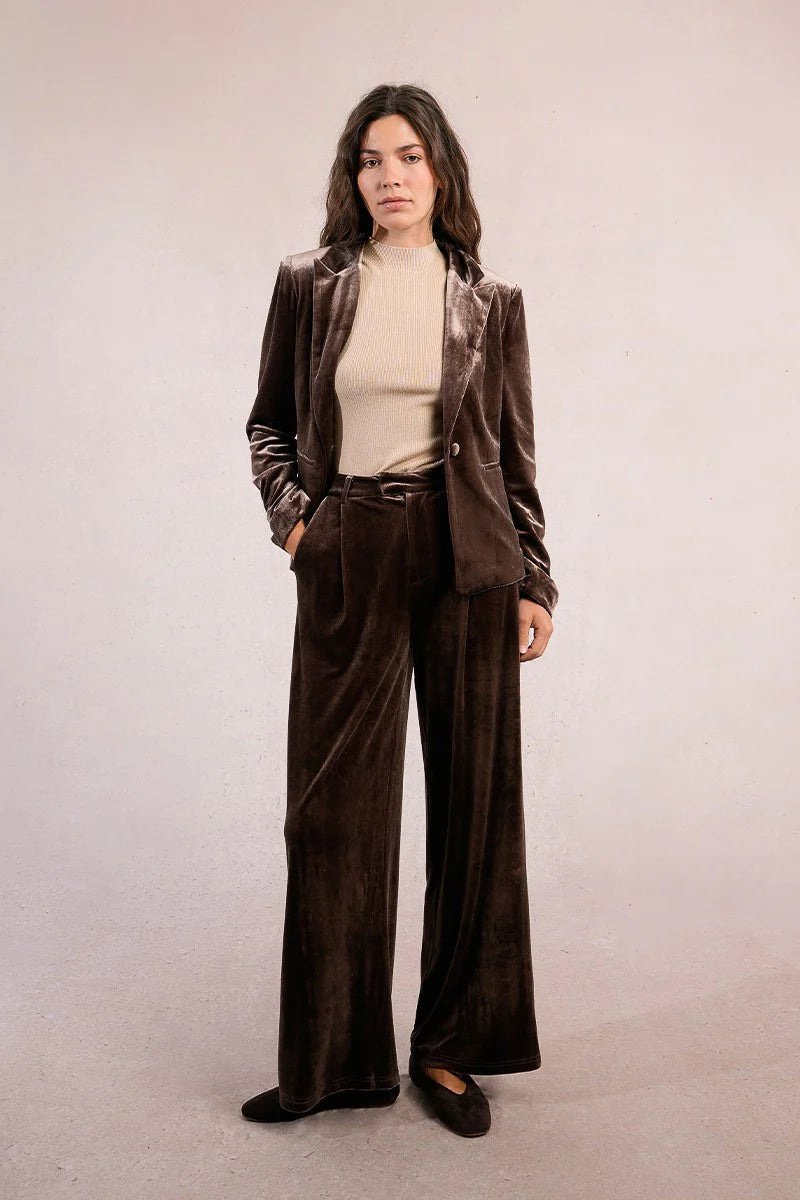 Velvet Trouser in Brown