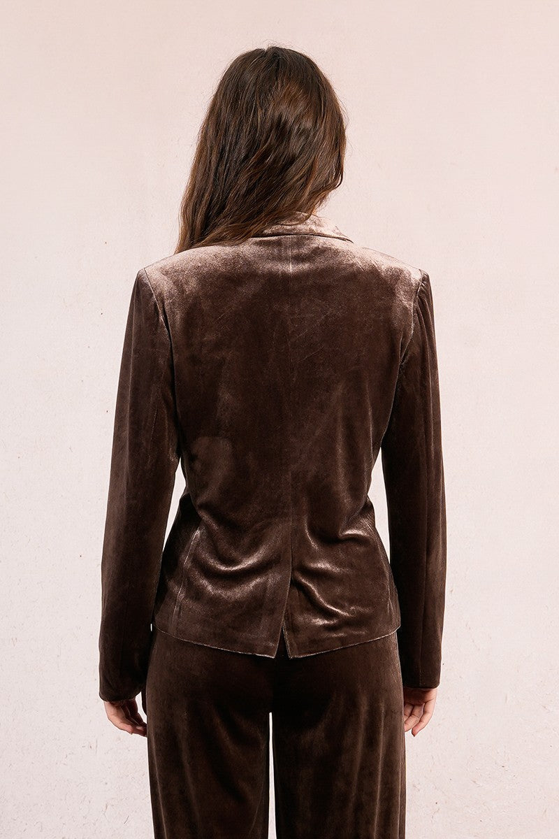 Velvet Blazer in Brown