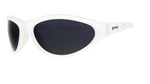 Load image into Gallery viewer, Cleared for Takeoff Bug G Glasses
