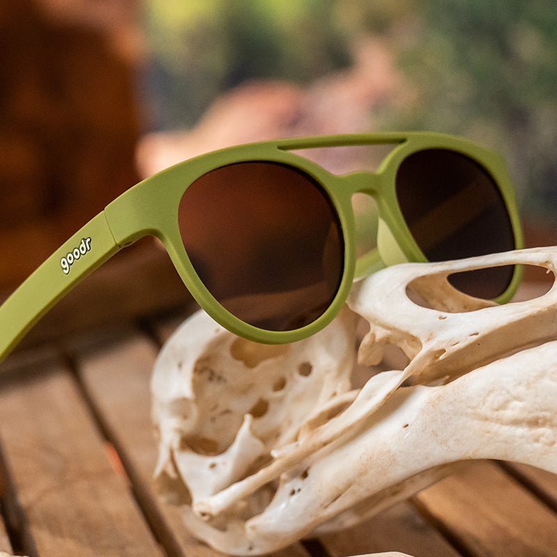 Fossil Finding Focals PHG Glasses