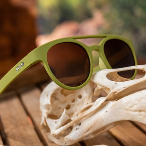 Fossil Finding Focals PHG Glasses