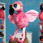 Load image into Gallery viewer, Stay Fly, Ornithologists PHG Sunglasses
