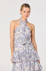Load image into Gallery viewer, Adamaris Dress in Blue Floral
