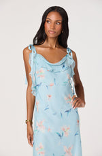 Load image into Gallery viewer, Nissa Dress in Blue Floral
