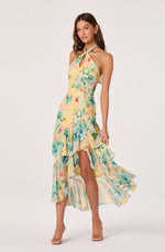 Load image into Gallery viewer, Bethina Maxi Dress in Yellow Green Floral
