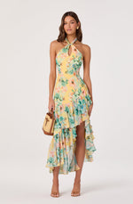 Load image into Gallery viewer, Bethina Maxi Dress in Yellow Green Floral
