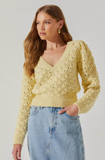 Load image into Gallery viewer, Bianca Sweater in Yellow
