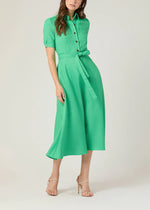Load image into Gallery viewer, Dillon Dress in Spring Green
