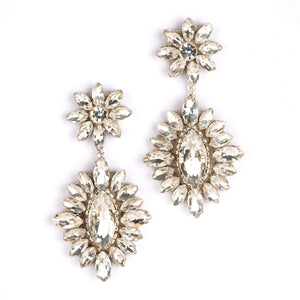 Alianah Earrings in Silver