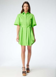 Erika Dress in Green Apple