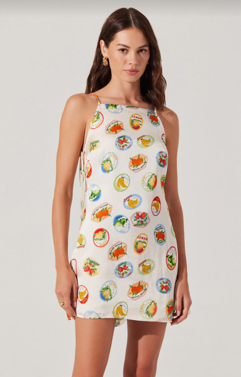 Samira Dress in Ivory Fruit Cocktail