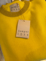 Load image into Gallery viewer, Lurex Trim Crew Cashmere Sweater in Yellow/Gold
