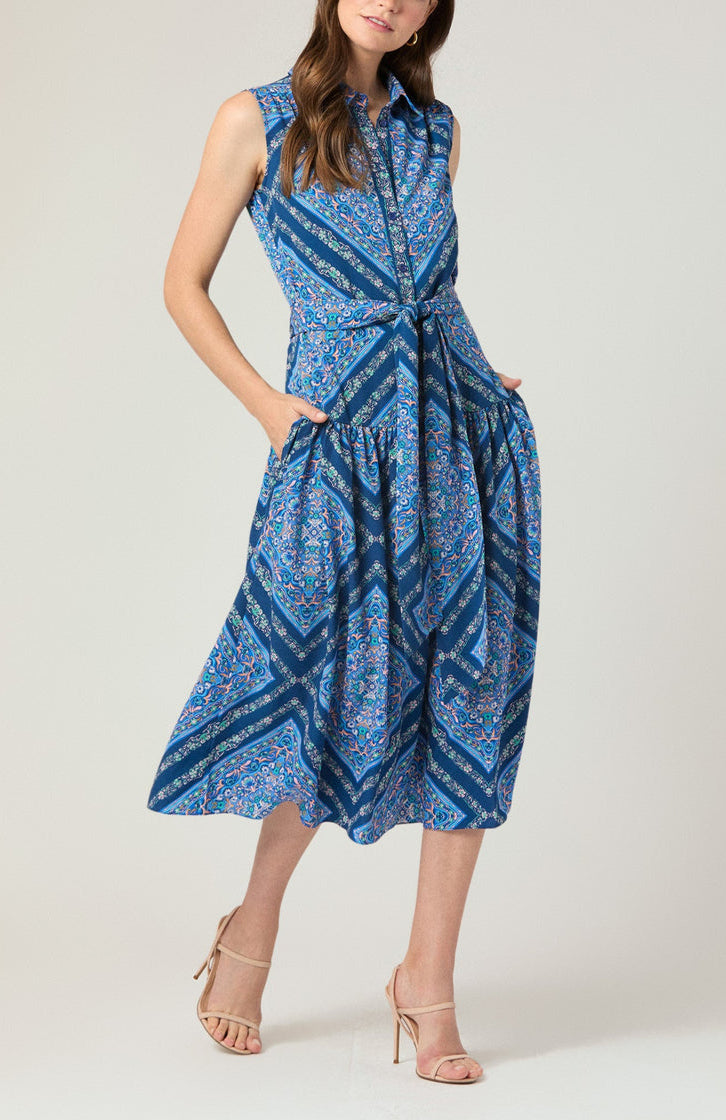 Pauletta Dress in Blue Multi