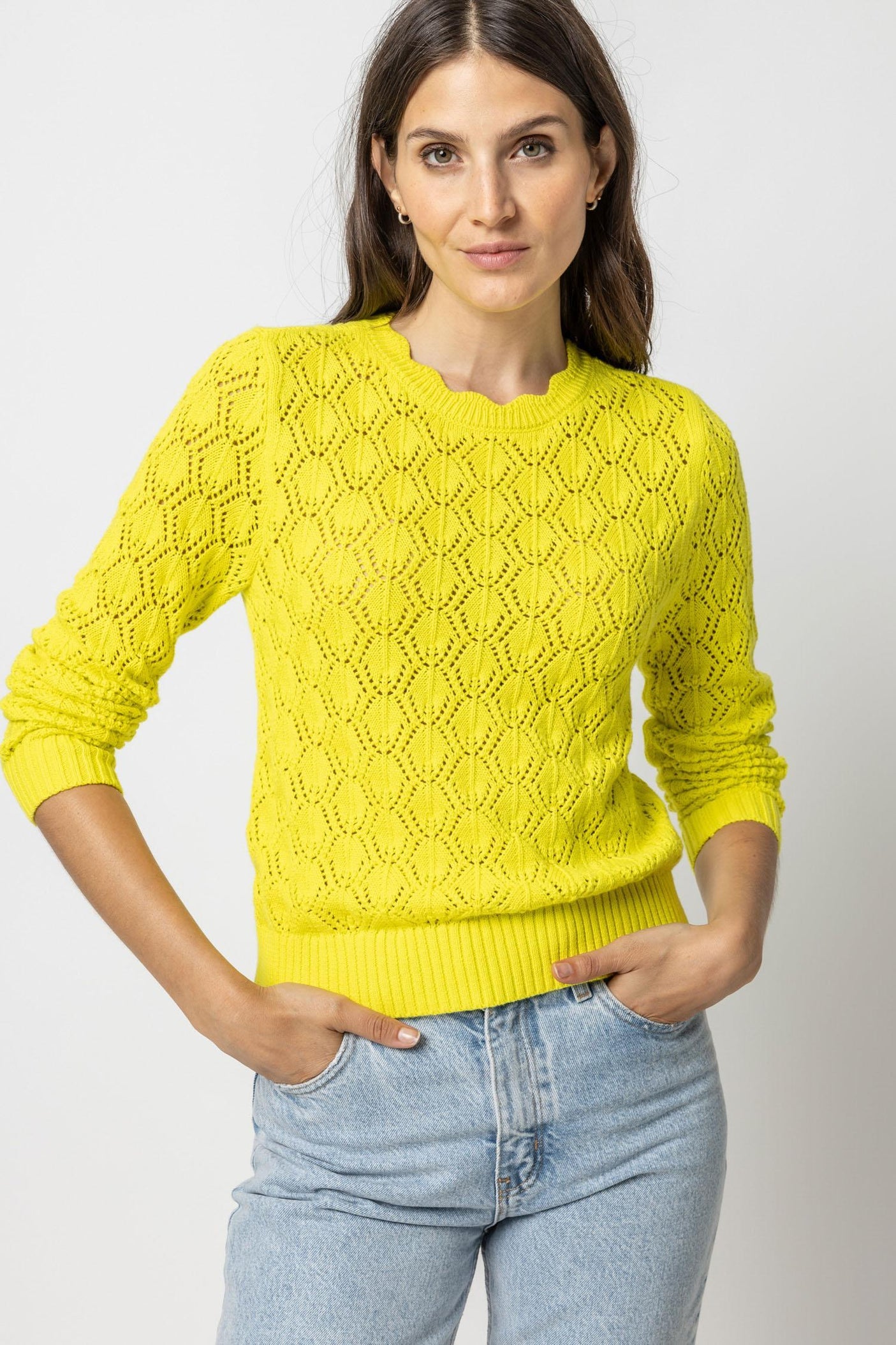 Pointelle Stitch Crewneck Sweater in Lemon Lime