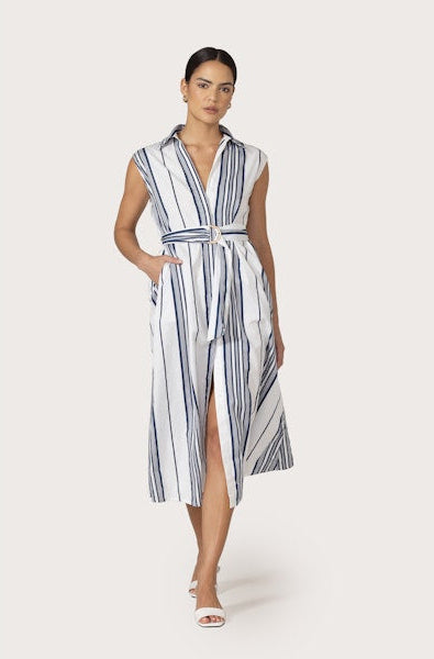 Chloe Belted Poplin Dress in Shadow Stripe