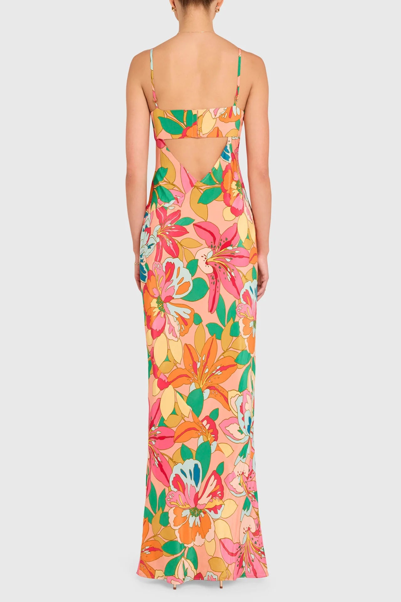 Janeiro Maxi Dress in Botanico