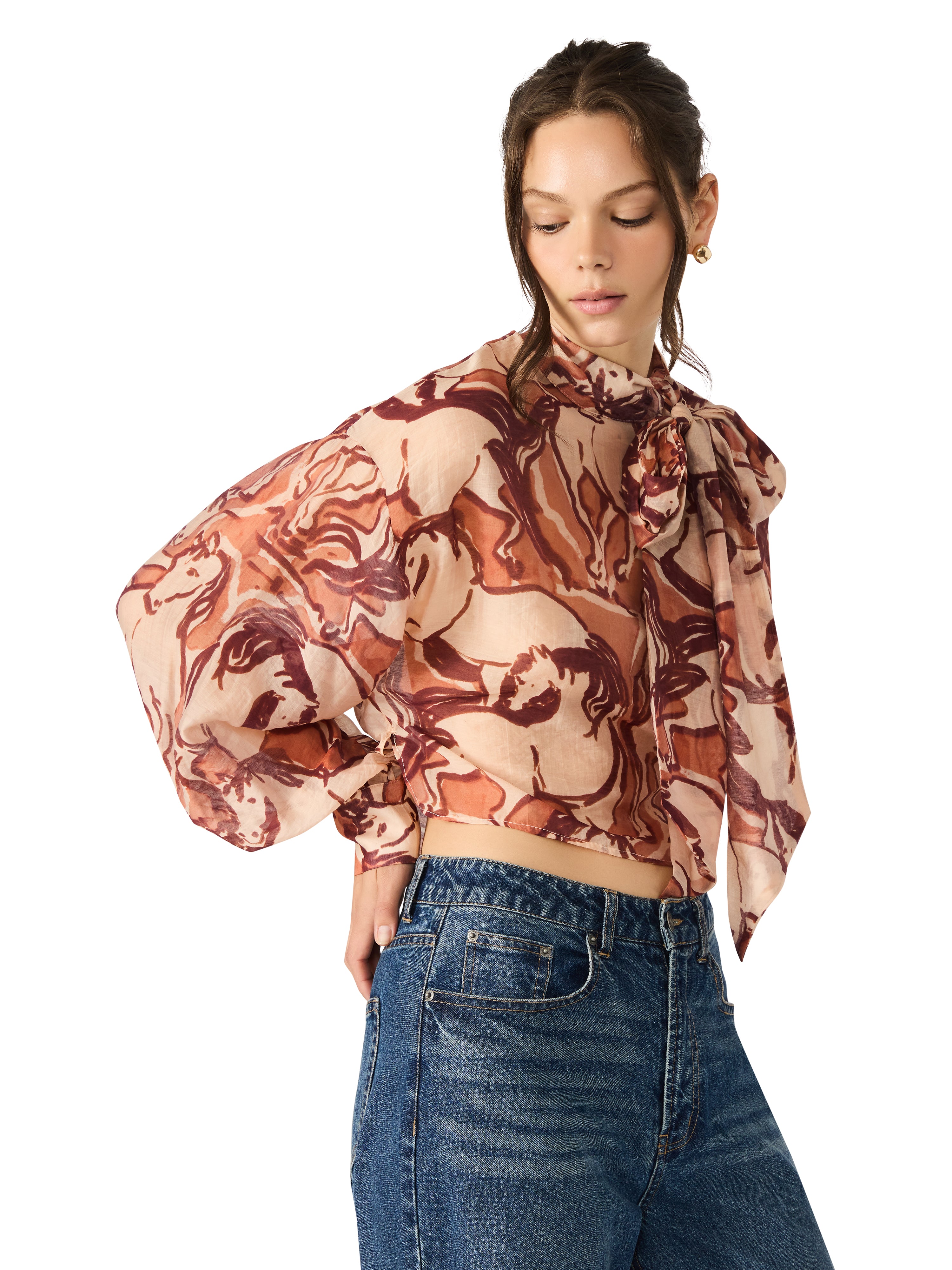 Sutton Top in Sorrel Horse