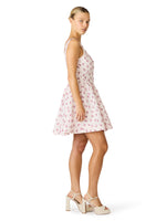 Load image into Gallery viewer, Leia Dress in Petal
