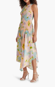 Mareena Dress in Pink Blossom