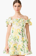 Load image into Gallery viewer, Hana Off The Shoulder Mini Dress in Yellow Multi
