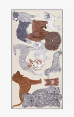 Load image into Gallery viewer, Toutou Scarf in White
