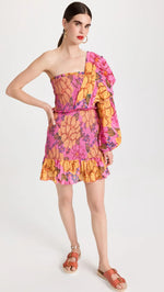 Load image into Gallery viewer, Flowers Garden Mini Dress in Pink

