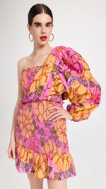 Load image into Gallery viewer, Flowers Garden Mini Dress in Pink

