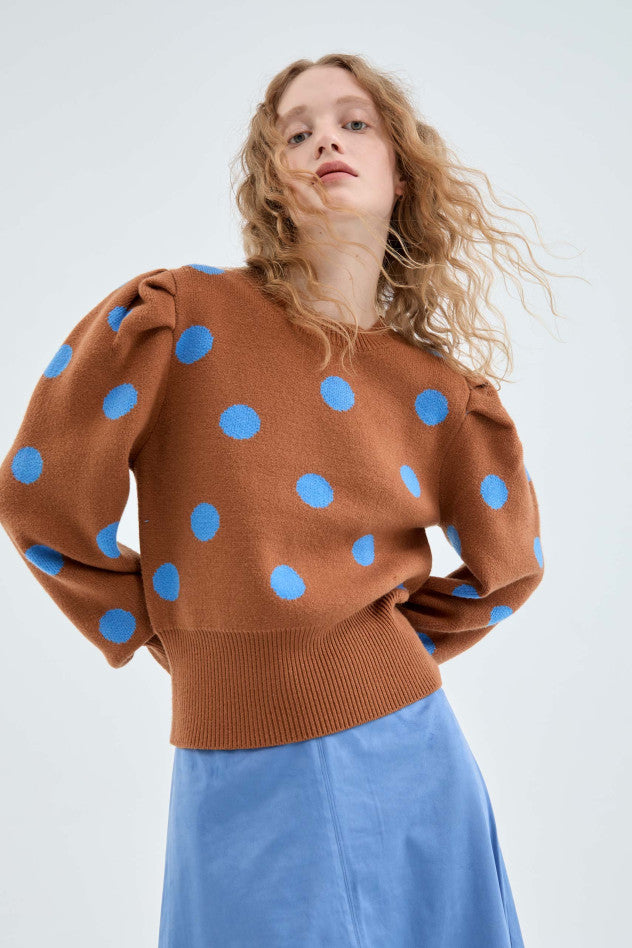 Polka Dot Sweater in Brown