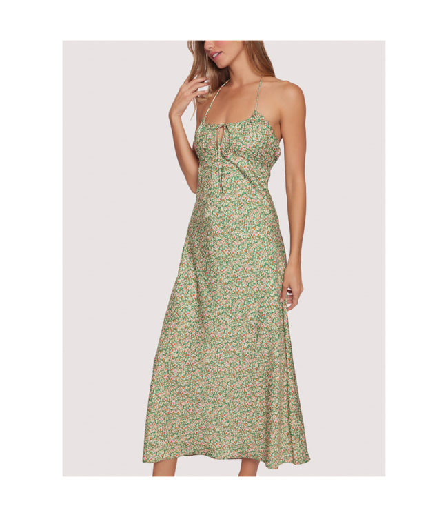 Wild Poppies Maxi Dress in Green Floral