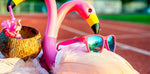 Load image into Gallery viewer, Flamingos On A Booze Cruise OG Sunglasses
