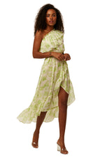 Load image into Gallery viewer, Rumi Dress in Honeydew Blossom
