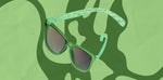 Load image into Gallery viewer, Everglades National Park Sunglasses
